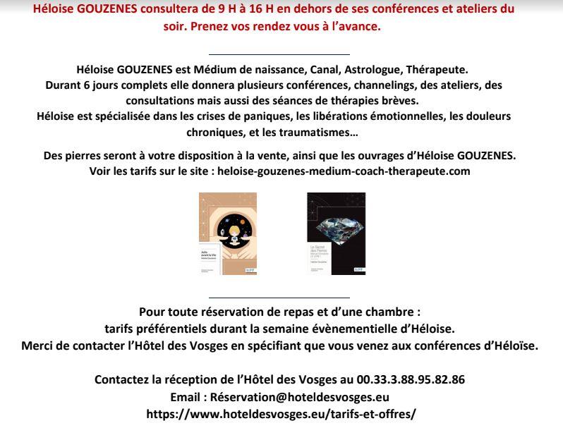 Hotel des vosges 2